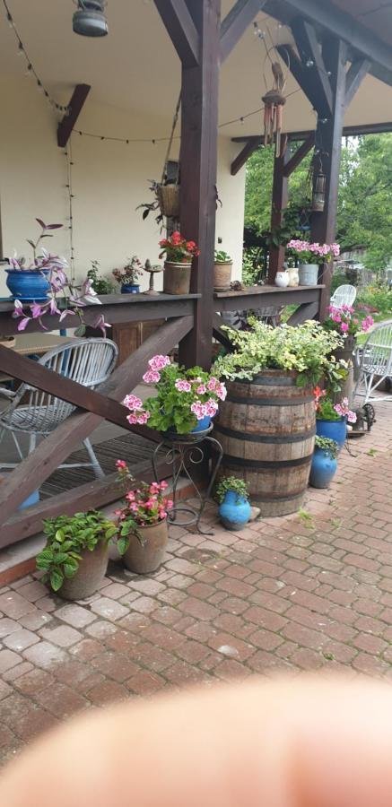 Appartement "Jutrzenka" à Białowieża Extérieur photo