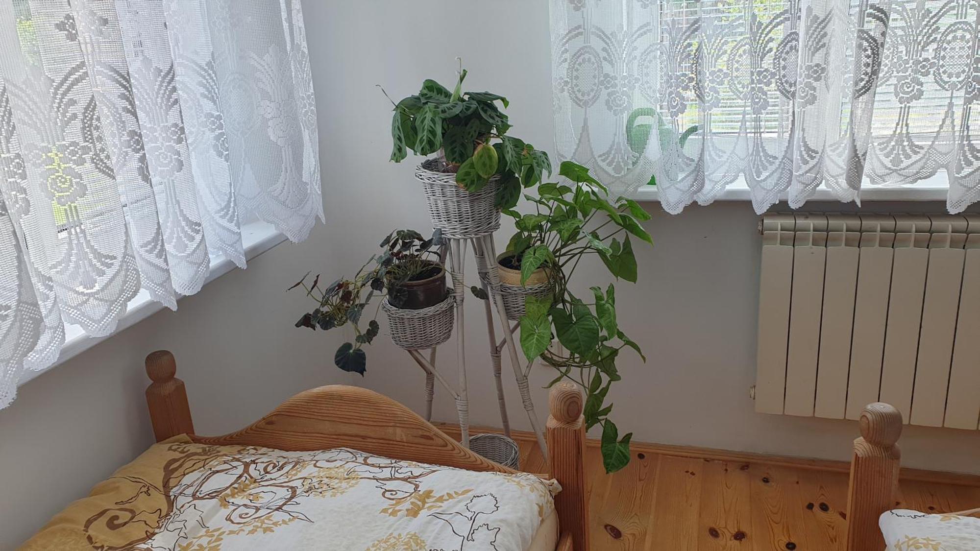 Appartement "Jutrzenka" à Białowieża Extérieur photo